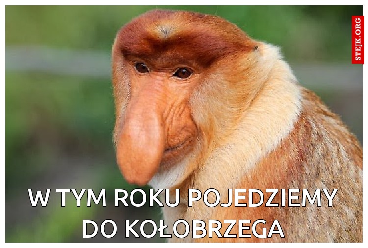 W tym roku pojedziemy do kołobrzega
