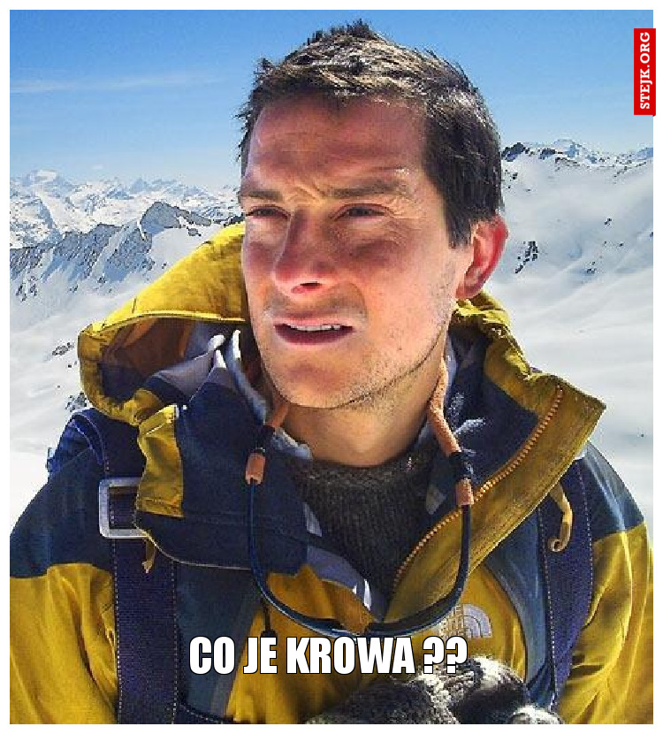 Co je krowa ??