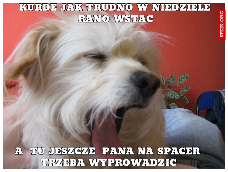 kurde jak ciezko jest rano w niedziele wstac
