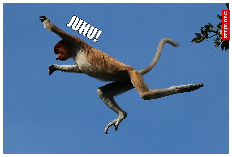Juhu!