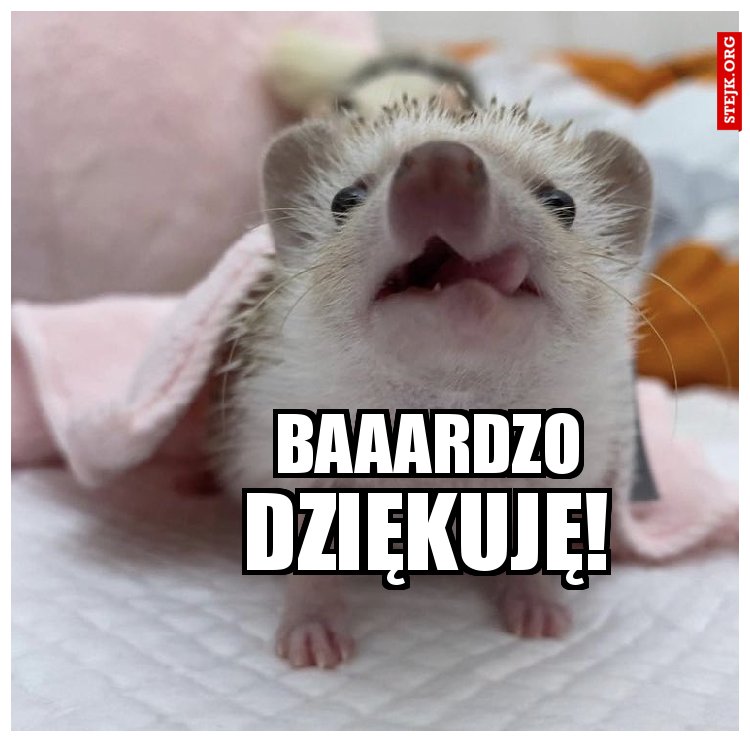 dziękuję Jolu!