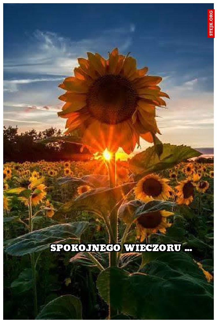 spokojnego wieczoru ...