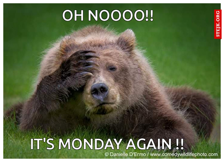 Oh noooo!!