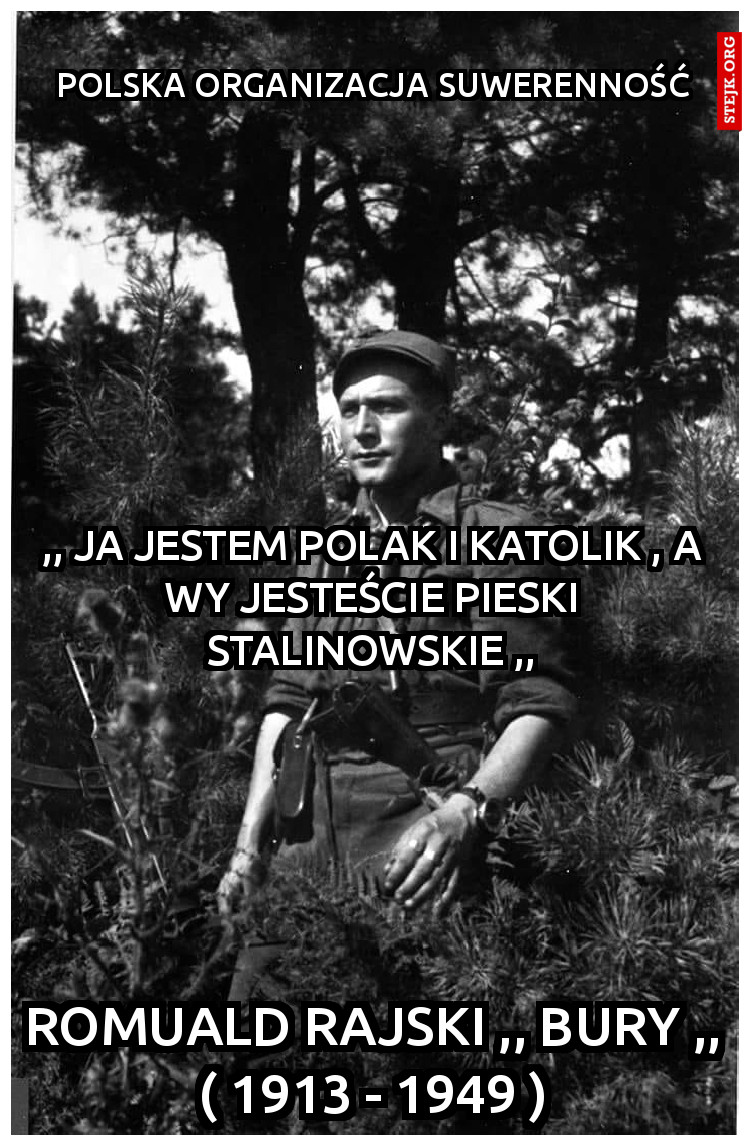 polska organizacja suwerenność