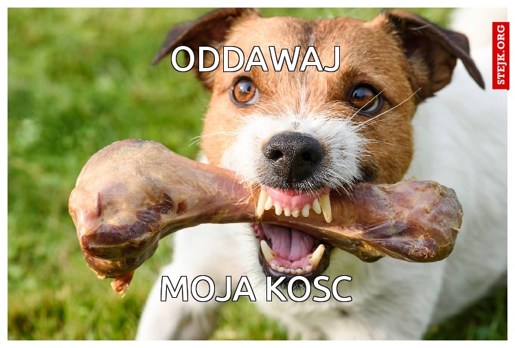 oddawaj