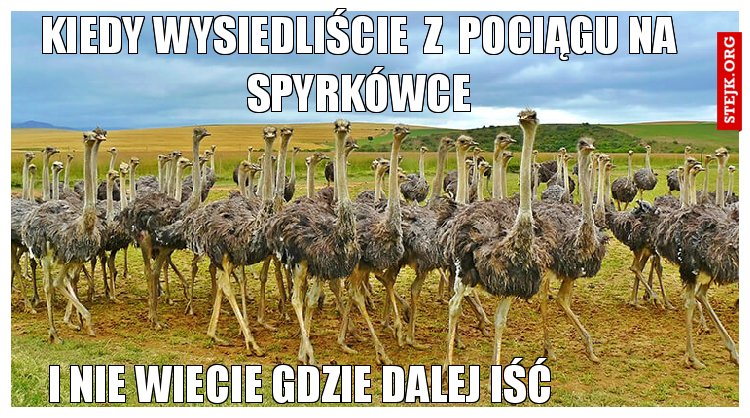 kiedy wysiedliście  z  pociągu na spyrkówce