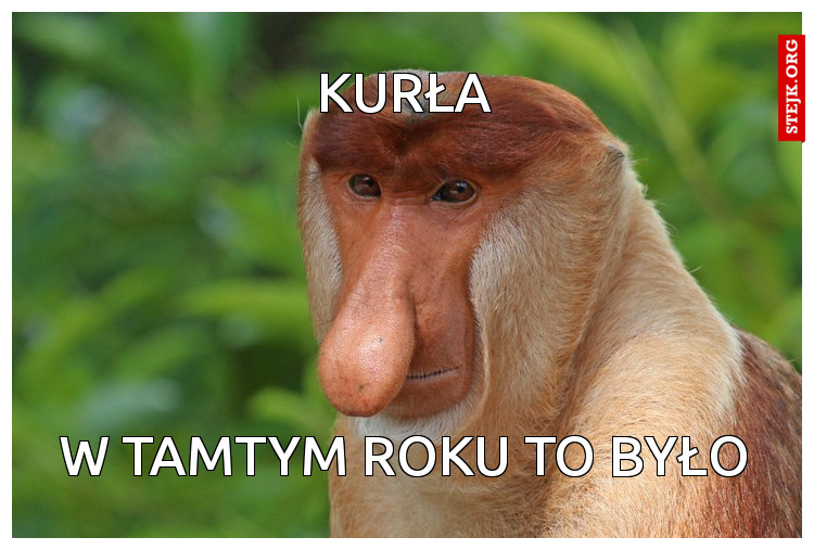 kurła