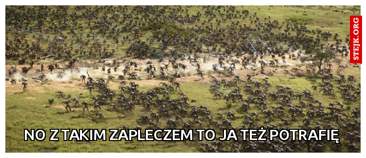 No z takim zapleczem to ja też potrafię