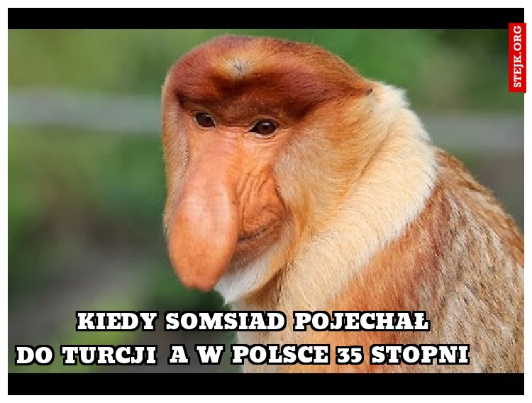 Kiedy somsiad pojechał 