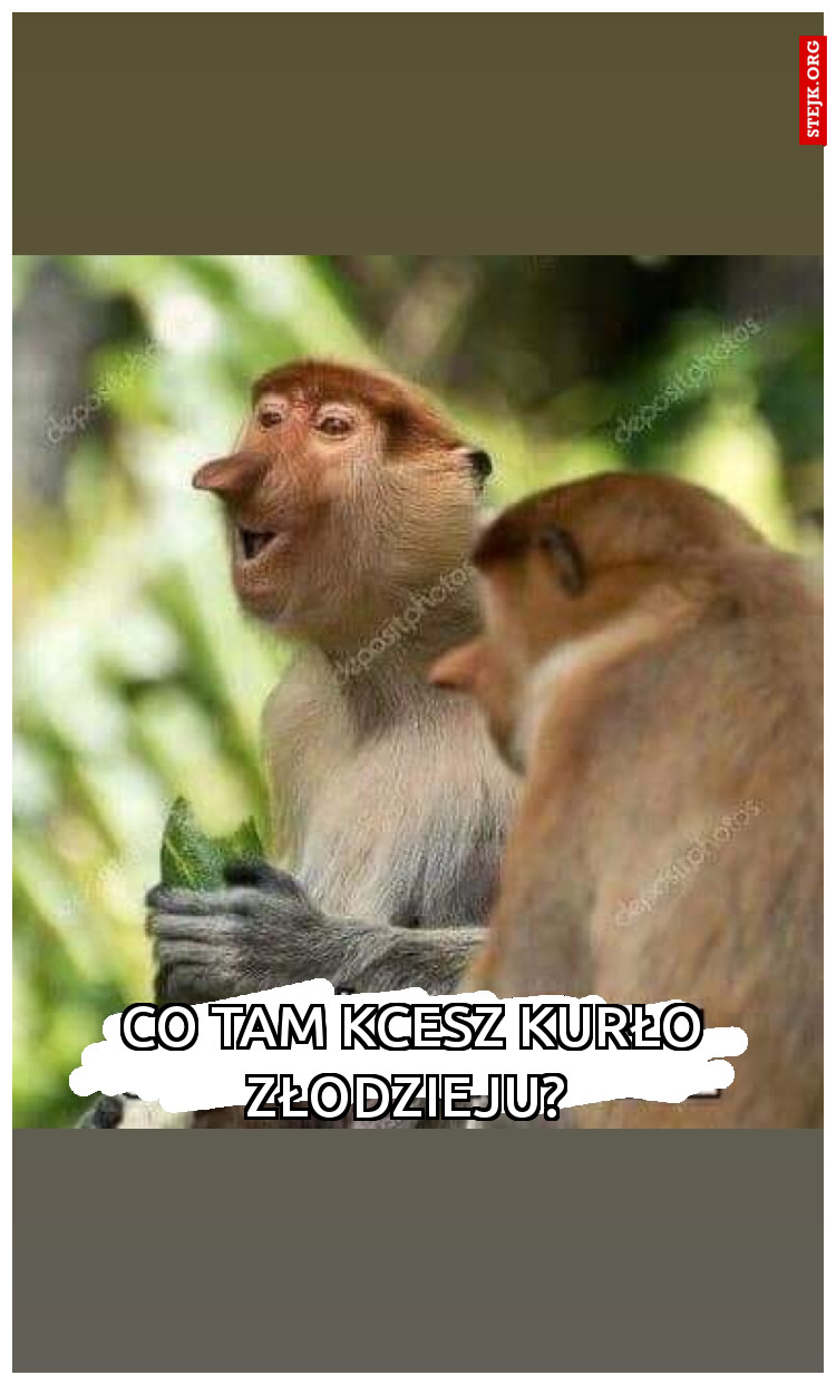 Co tam kcesz kurło złodzieju? 
