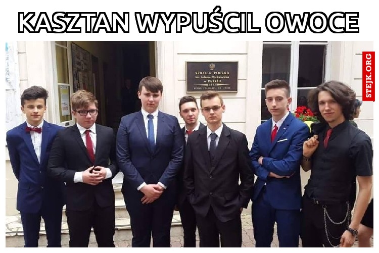 Kasztan Wypuścil owoce
