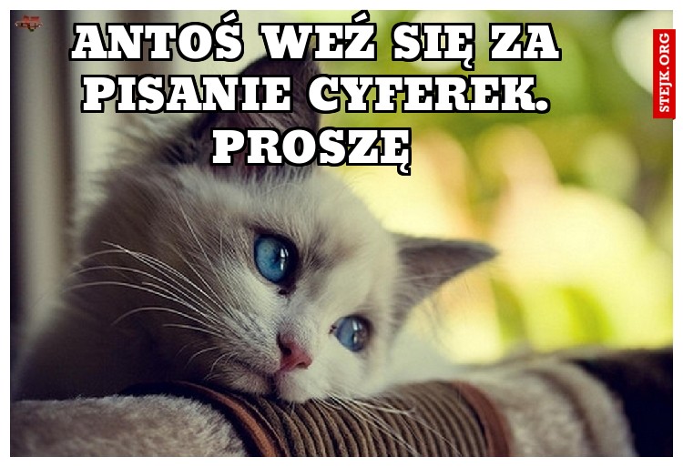 Antoś weź się za pisanie cyferek. Proszę 