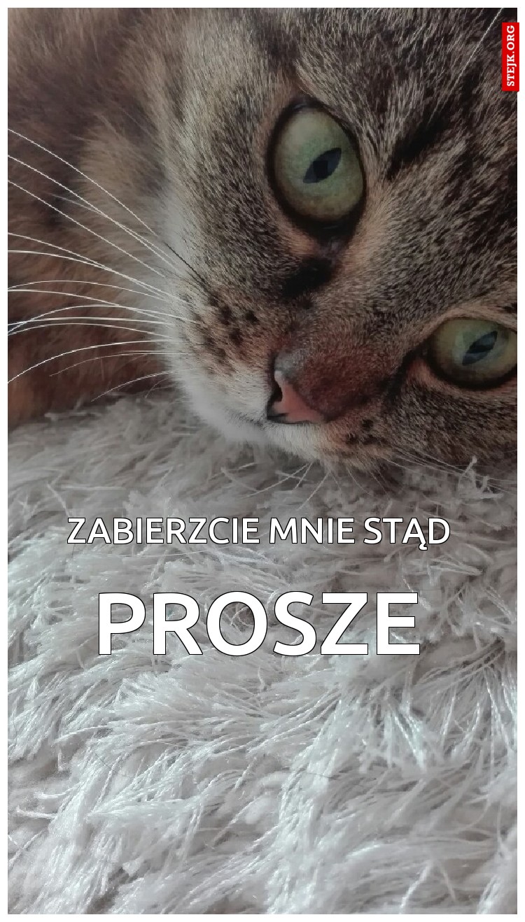 prosze