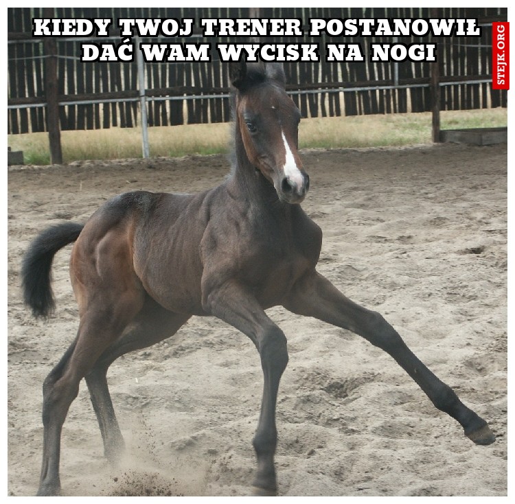 kiedy twój trener postanowił dać wam wycisk na nogi