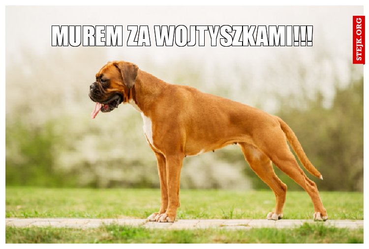 MUREM ZA WOJTYSZKAMI!!!