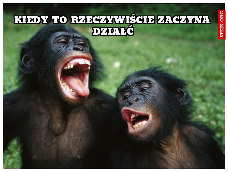 KIEDY TO RZECZYWIŚCIE ZACZYNA DZIAŁĆ
