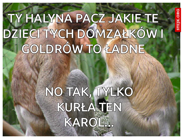 TY HALYNA PACZ JAKIE TE DZIECI TYCH DOMZAŁKÓW I GOLDRÓW TO ŁADNE