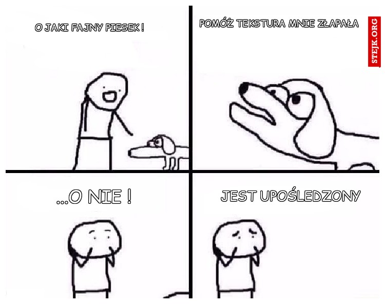 o jaki fajny piesek !