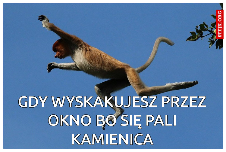 gdy wyskakujesz przez okno bo się pali kamienica