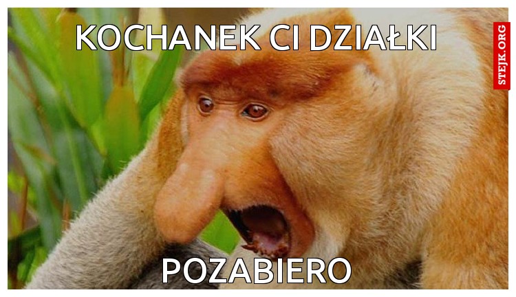 KOCHANEK CI DZIAŁKI