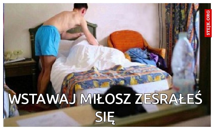 Wstawaj miłosz zesrałeś się