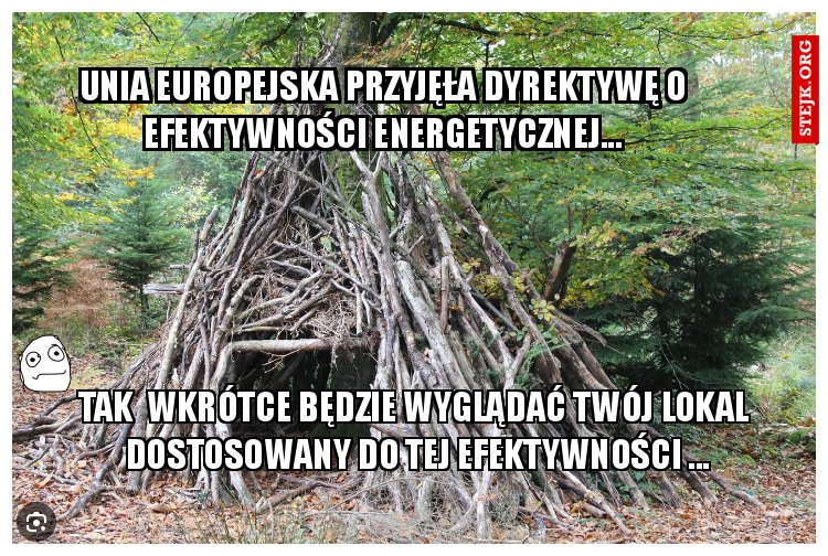 Unia Europejska przyjęła dyrektywę o efektywności energetycznej...