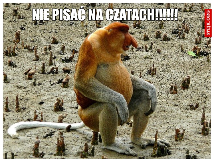 Nie pisać na czatach!!!!!!