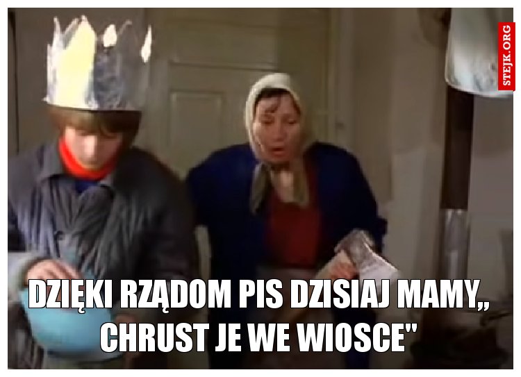 Dzięki rządom PIS dzisiaj mamy,, Chrust je we wiosce''