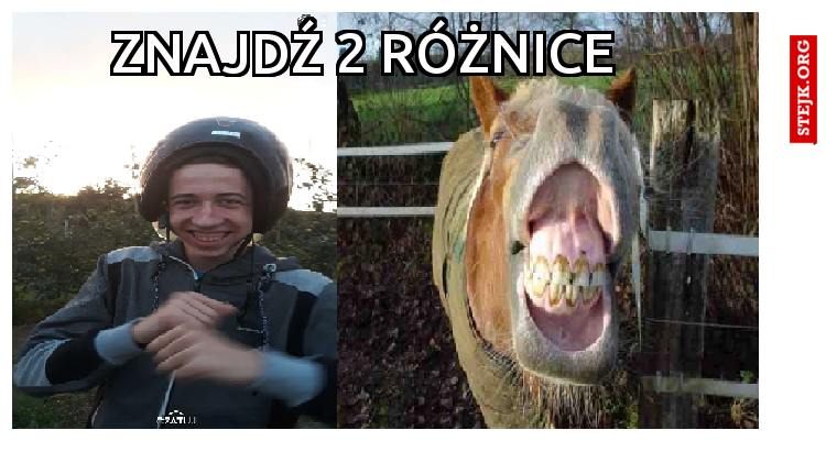 znajdź 2 różnice