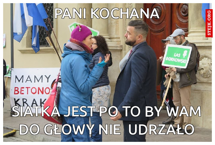 siatka jest po to by Wam do głowy nie  udrzało