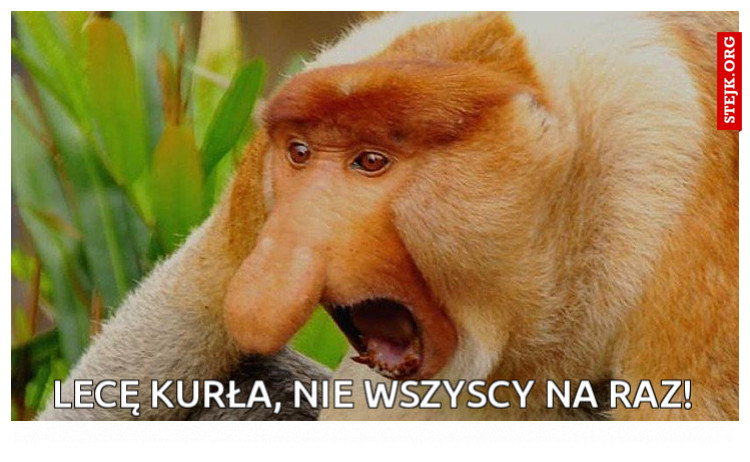 LECĘ KURŁA, NIE WSZYSCY NA RAZ!
