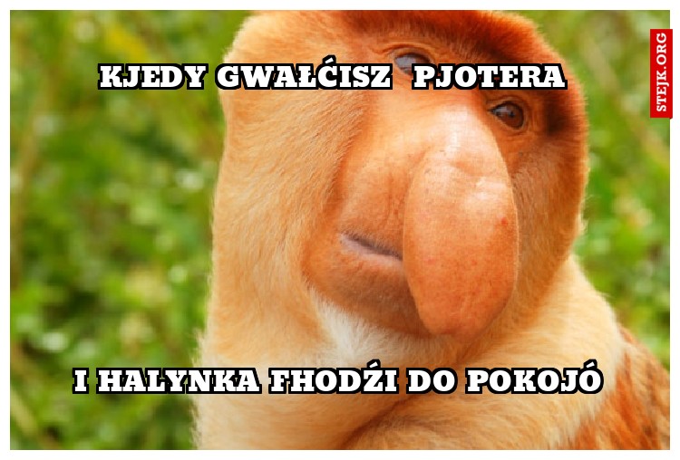 kjEDY GWAŁĆISZ  Pjotera 