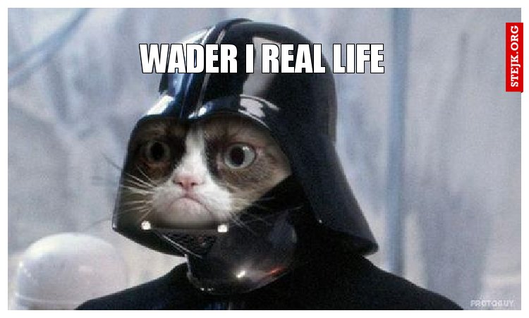 wader i real life