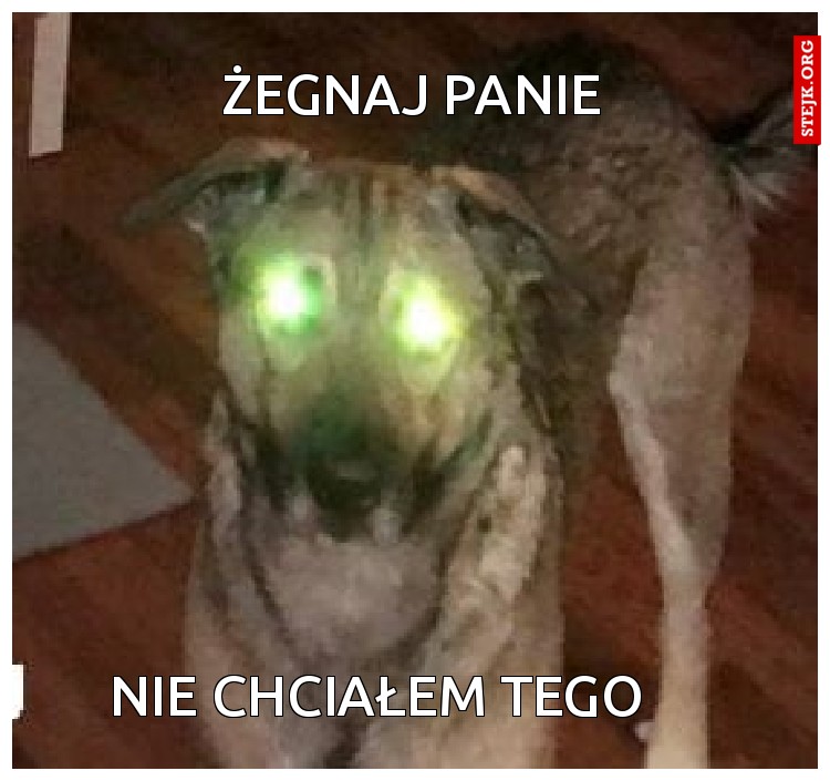 Żegnaj Panie