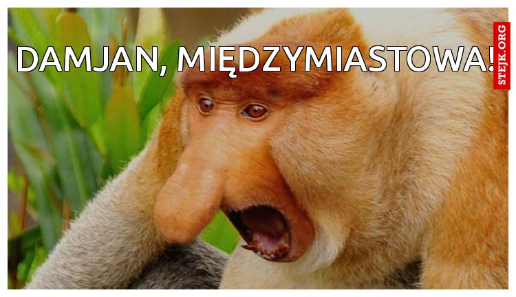 DAMJAN, MIĘDZYMIASTOWA!