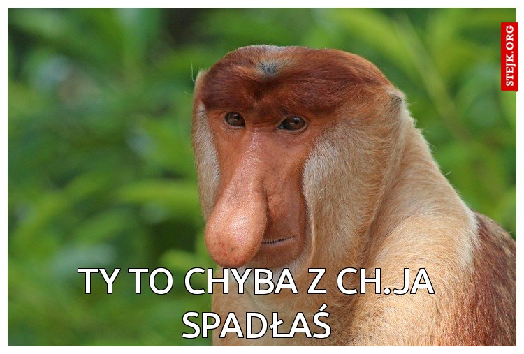 ty to chyba z ch.ja spadłaś