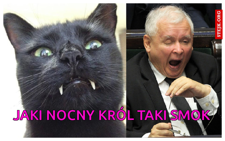 Jaki Nocny król taki smok