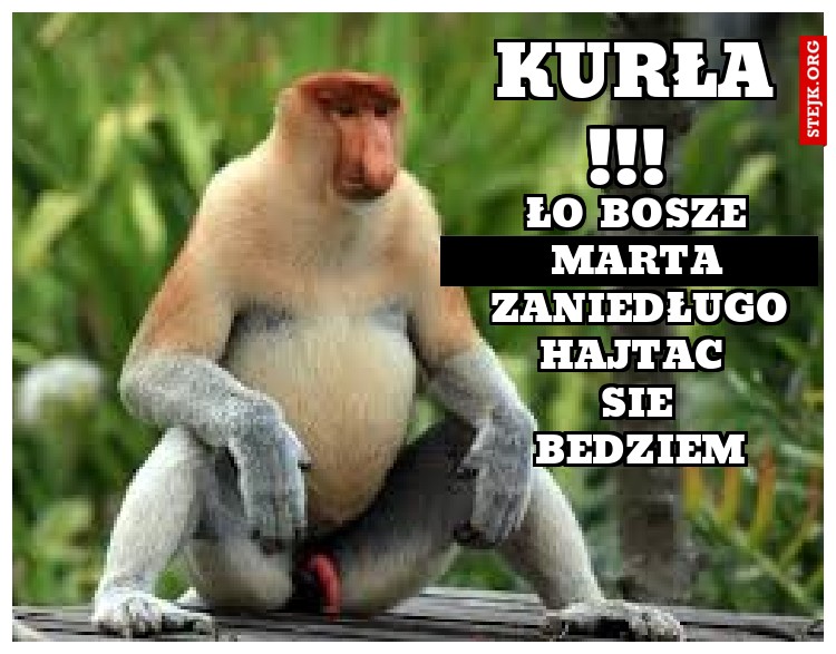 kurła !!! 