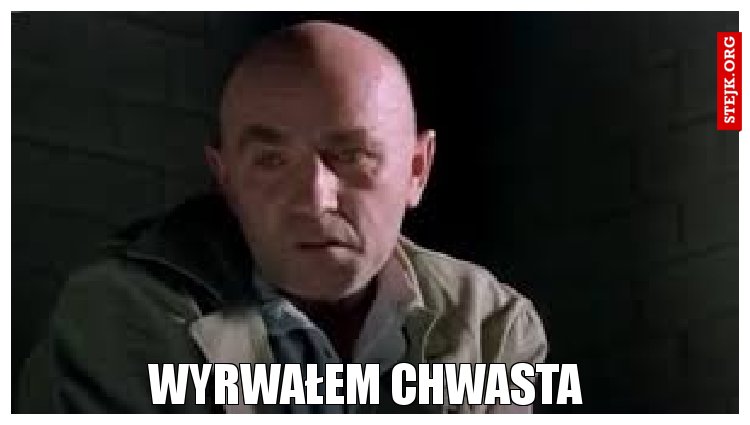 Wyrwałem chwasta