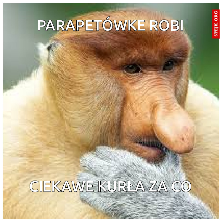 parapetówke robi