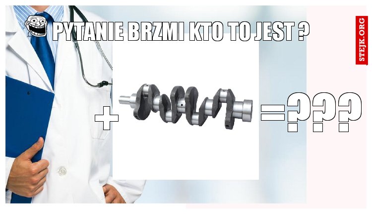 PYTANIE BRZMI KTO TO JEST ?