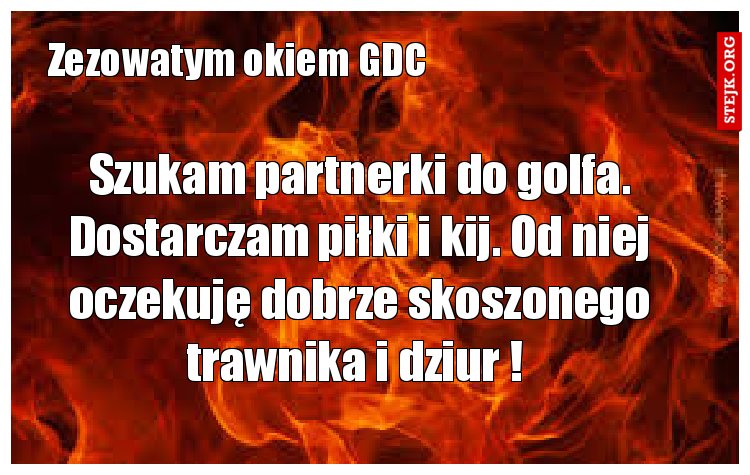 Szukam partnerki do golfa. Dostarczam piłki i kij. Od niej oczekuję dobrze skoszonego trawnika i dziur ! 
