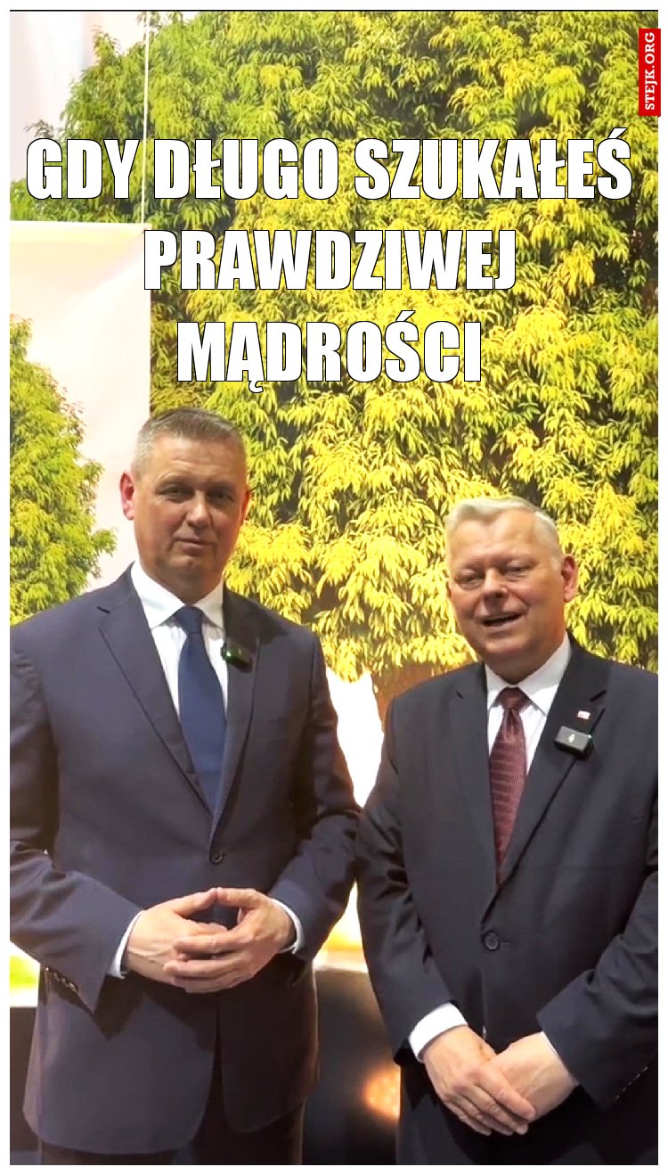 Gdy długo szukałeś prawdziwej mądrości