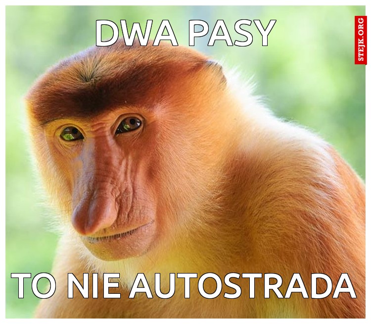 dwa pasy