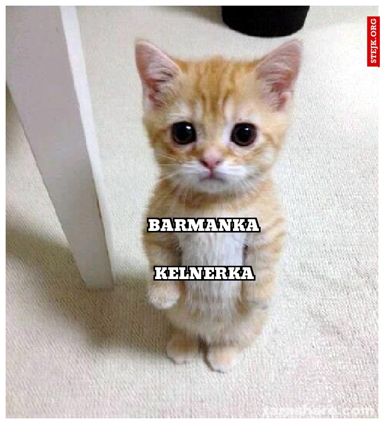 Barmanka