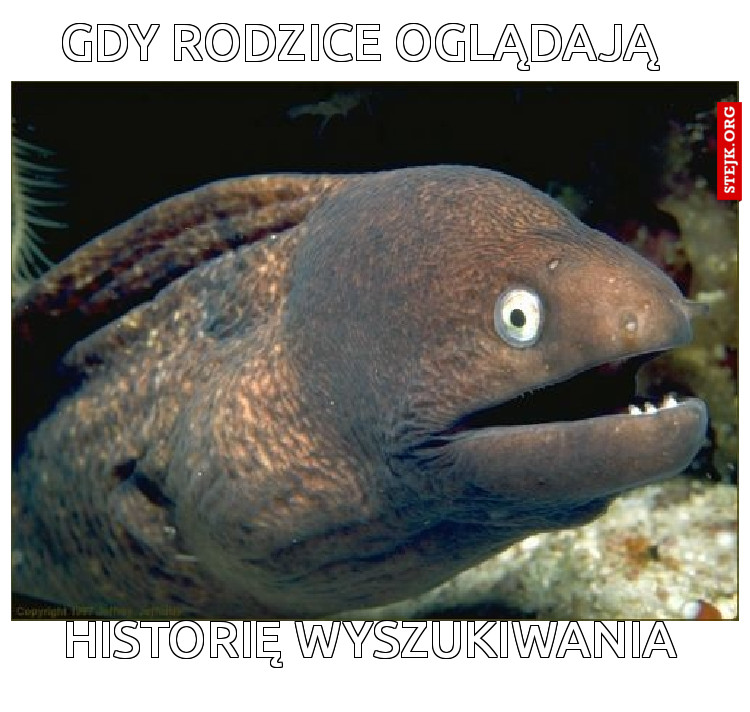 Gdy rodzice oglądają 