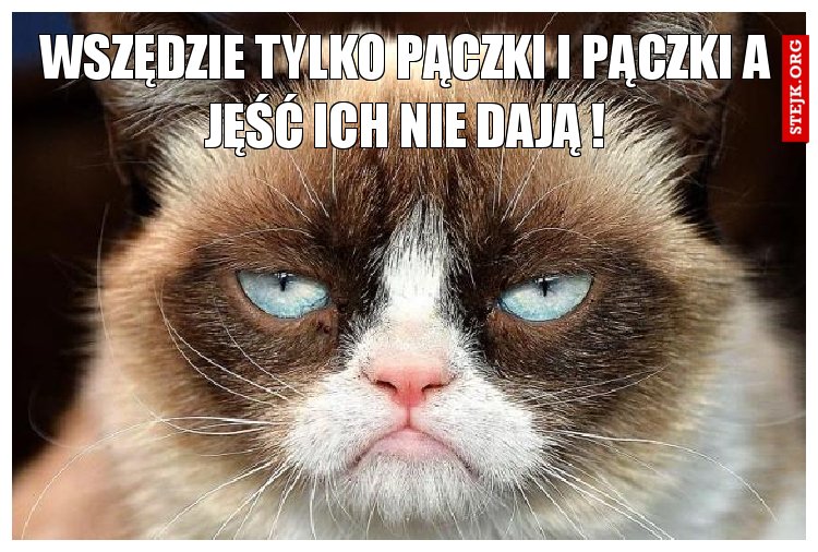 wszędzie tylko pączki i pączki a jęść ich nie dają !