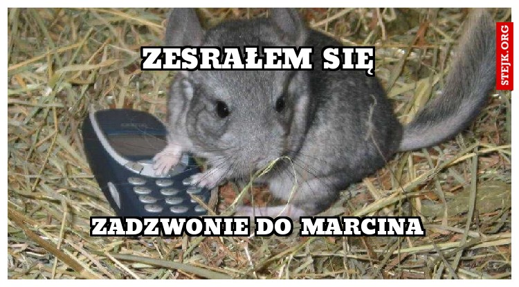 ZESRAŁEM SIĘ