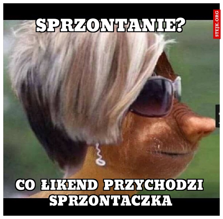 SPRZONTANIE?