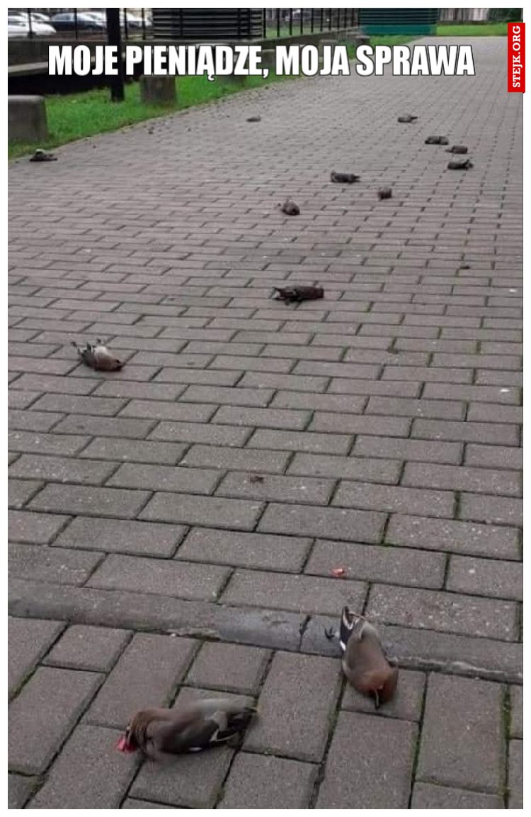 Moje pieniądze, moja sprawa 
